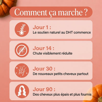 Huile de Pépins de Courge – Anti-Chute & Croissance des Cheveux